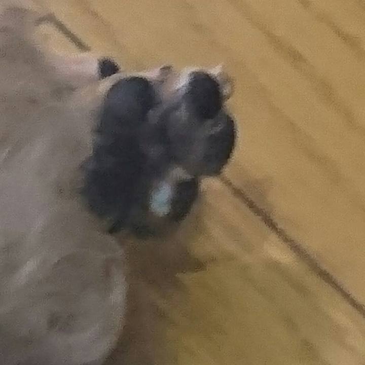 F2fc33c6 bc64 4d85 9a0f e8ecad12ffd0