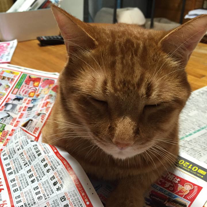 F2fcde9b 0be0 4007 a7dd 71d1e3fd0aa1