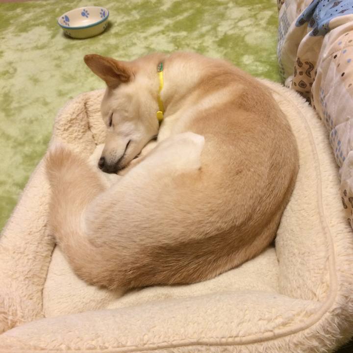 F2fd570b 515c 4143 8ccf 0435510d12b9