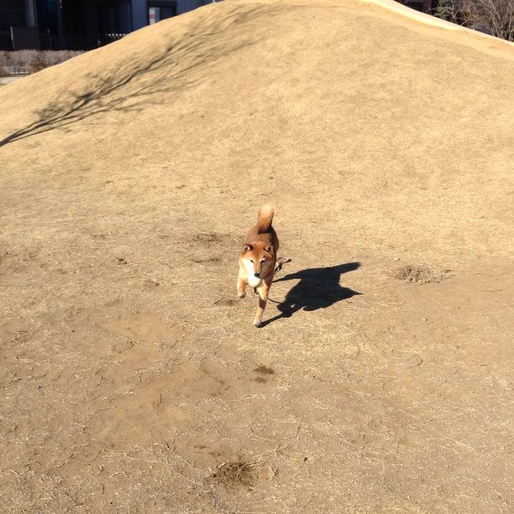 F2fd8084 8cfd 4599 87c9 4541dc76a9d8