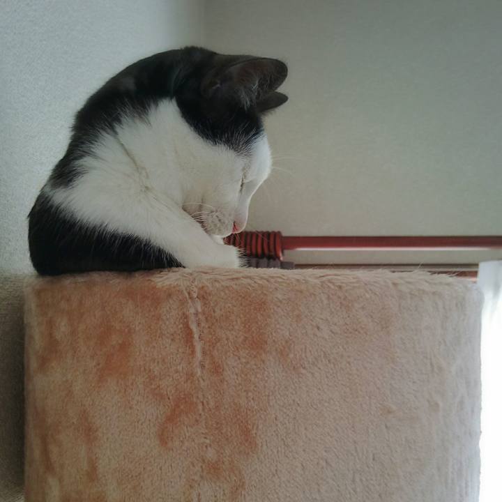 F2fdca02 3434 4303 afd7 20cdb644129f