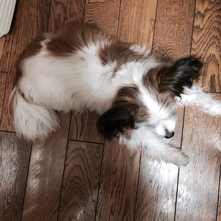 F2fde136 5067 4b39 99b3 26d22eec143f