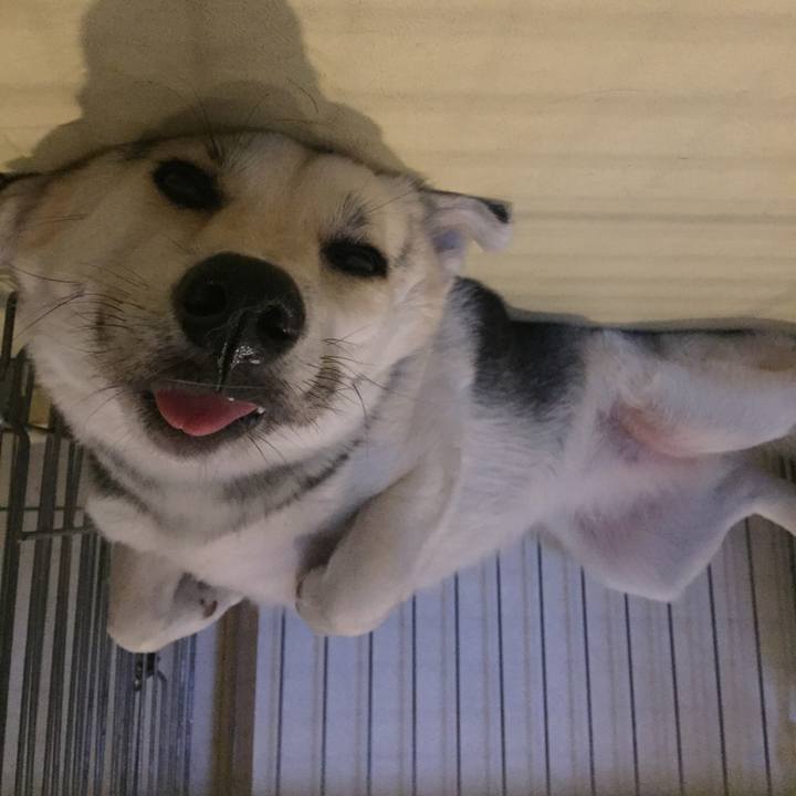 F2fdfdfd f440 414f ac74 98508456181c