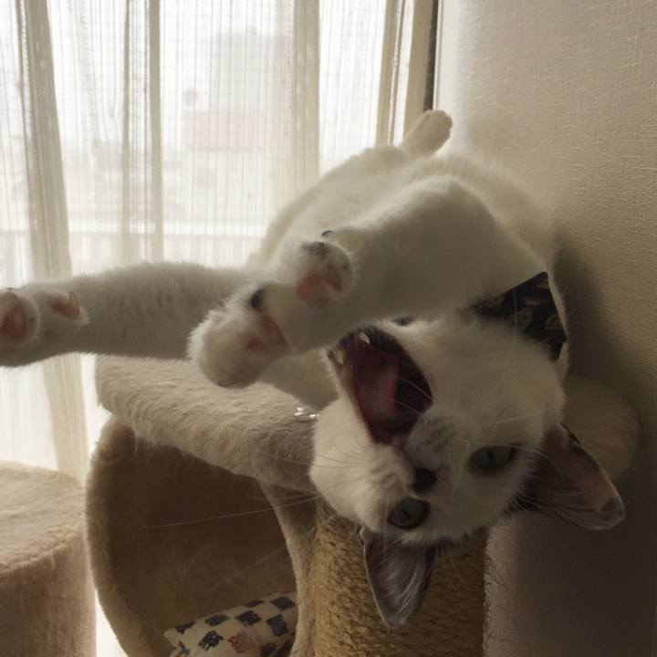 F2fe5762 44f7 4c15 98d3 44abe5fec7e3