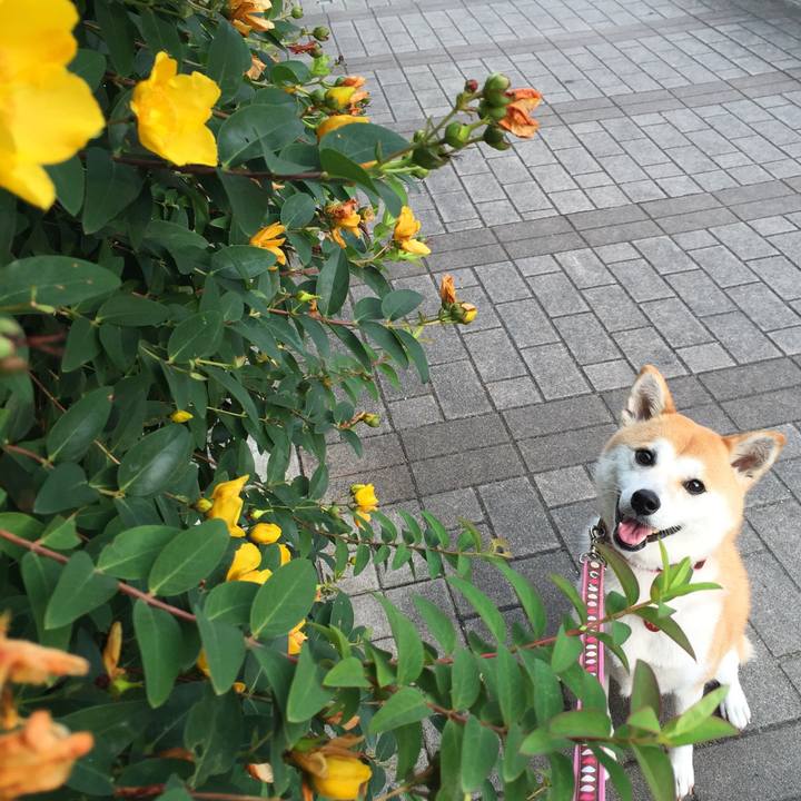 F2feb05c 7862 4aff a999 270cefef6f7d