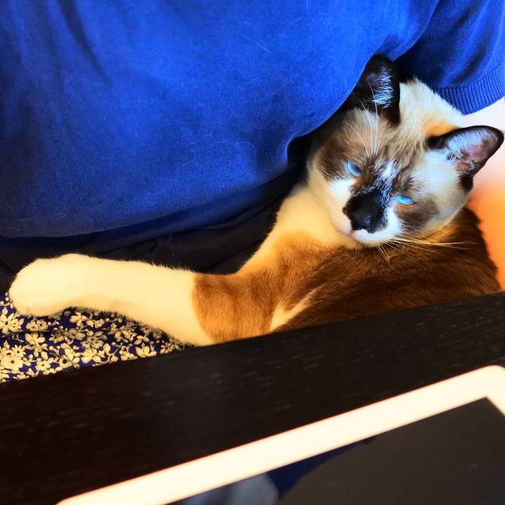 F300d9d4 dae8 402c 9342 349698024c7c