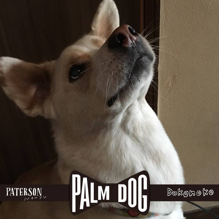 F301508f ed76 4577 b3d1 3f58ed089d27