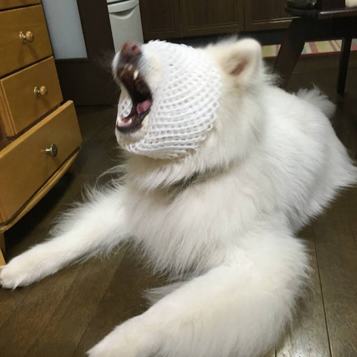 F30169a7 0963 4184 91c3 cba65317297d