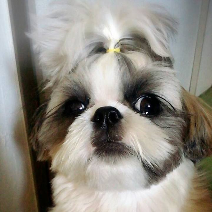 F301b42a 30e3 4442 90ac 1f0bb19d4a7f