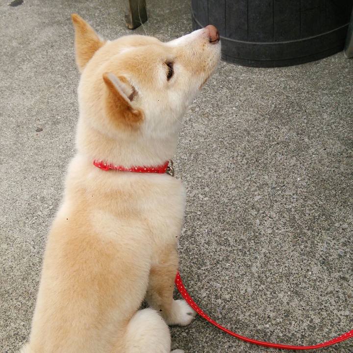 F301d66d d7b9 4ee4 a47a 0ec597dfe2e2