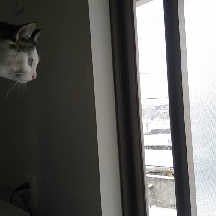 F301db48 0467 4c14 81de 04b0802cd1d3