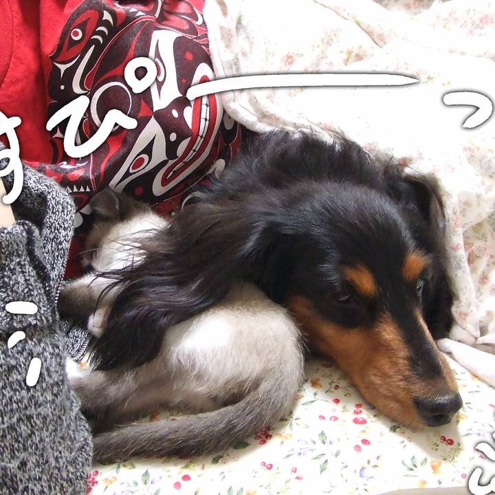 F30239c1 24a9 4d29 b5c0 b0605629707f