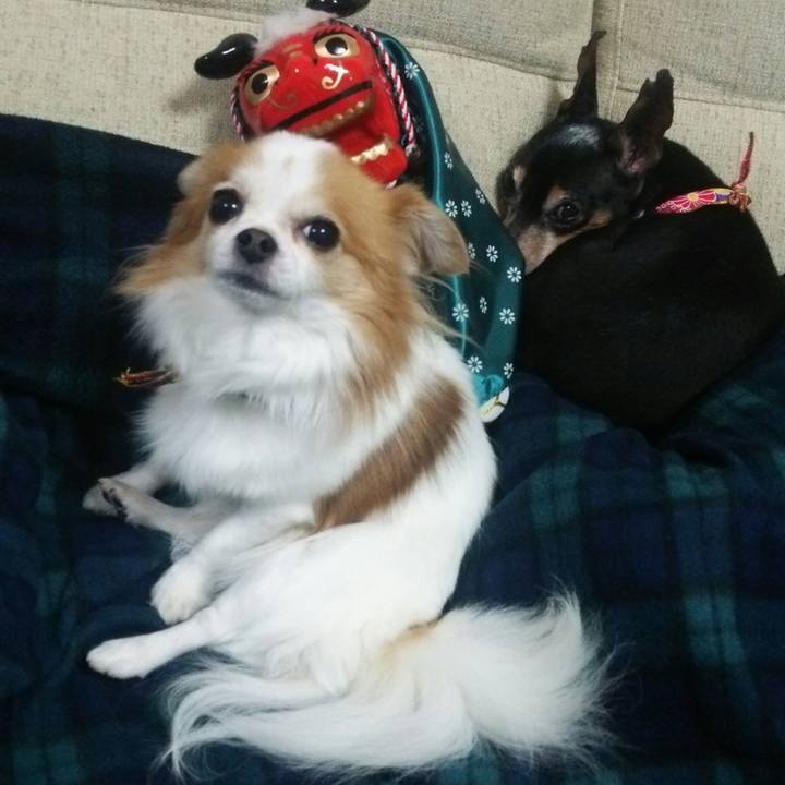 F30259a1 47dd 4385 b9ae e72c87087409