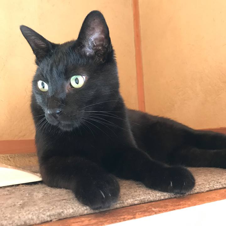 F302991c 020f 41e7 b4f6 c0e9f3671754