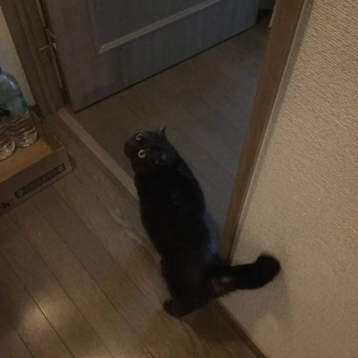 F3033430 e07b 4d4a 8a2d 5a9d3f02f0f4