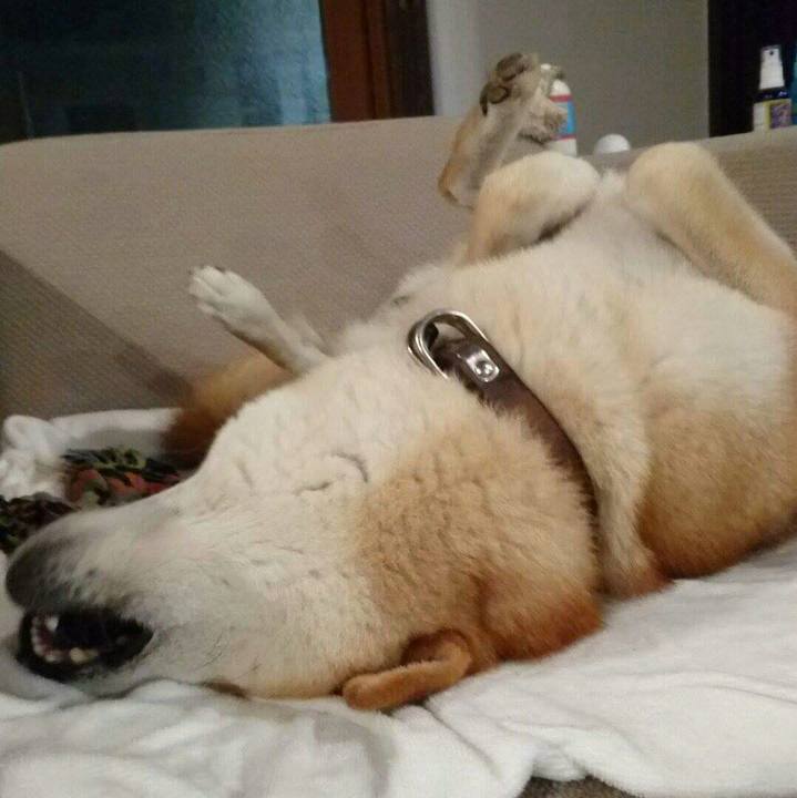 F3039582 b526 4cbc b36f 1d06b31190b6