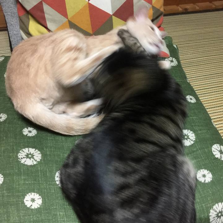 F3039cb9 e068 45b9 b21d 39cb8a0397f3