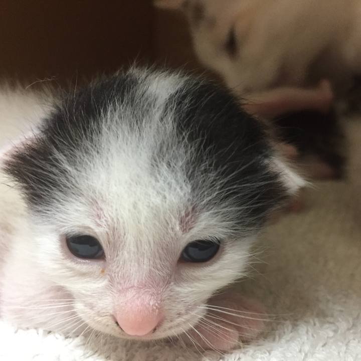 F303e26f b3ce 41aa a638 95fc8a42be63