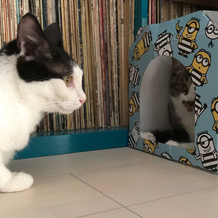 F303eae7 3dba 4cab abbd 45ad1f7399b3