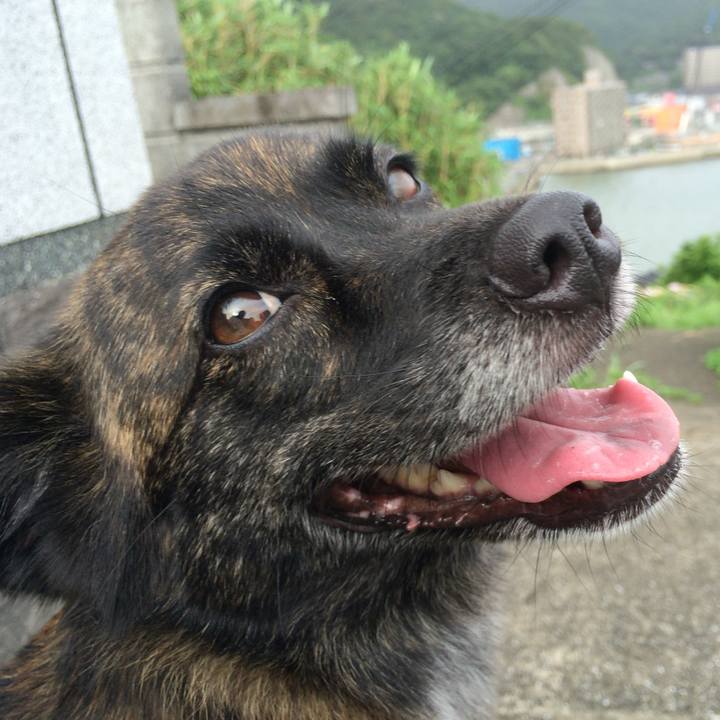 F3046ef2 88be 4463 b085 54db8a012524