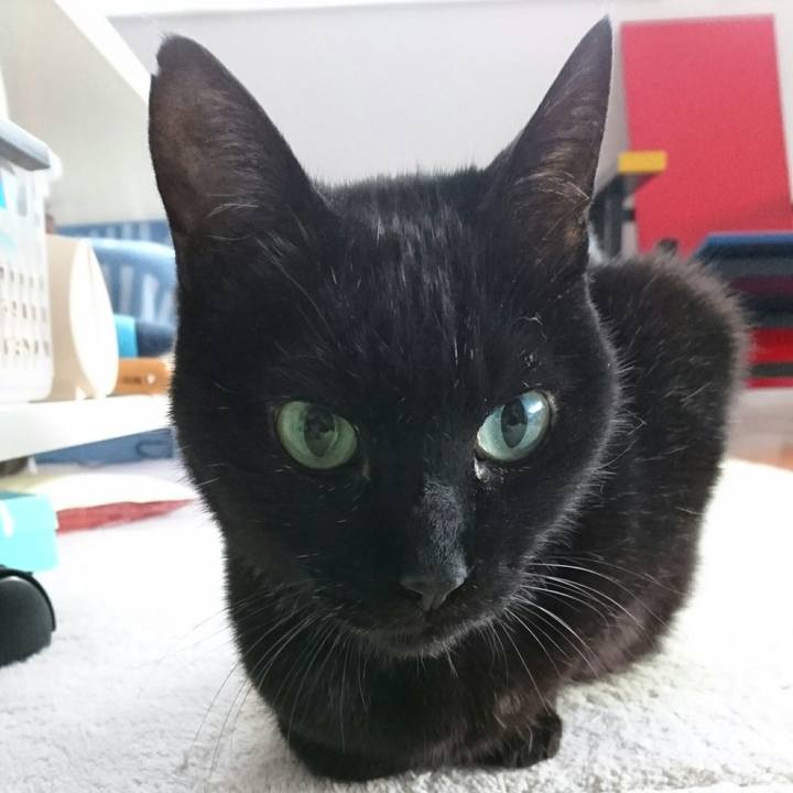 F3058161 2c4b 432f a159 f732f8d78177