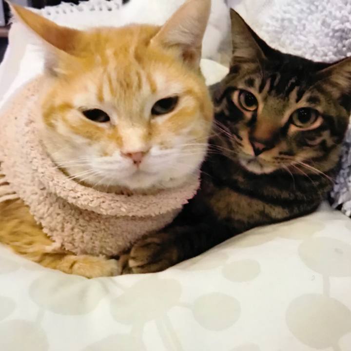 F306396c 3429 4f86 b35b 0d09f92890ad