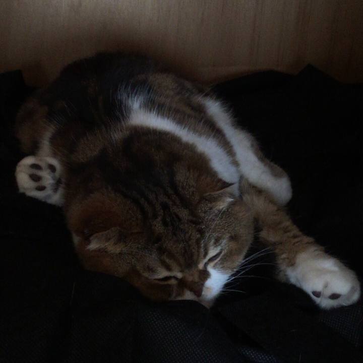 F30654a4 093c 4974 9568 53293e15975f