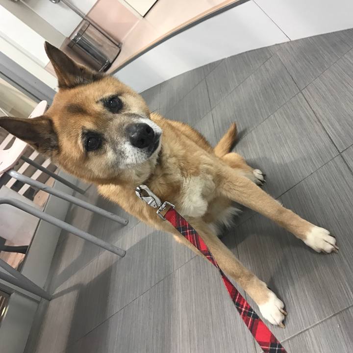 F306c531 6c58 4a75 91f3 05de3d8bd46a