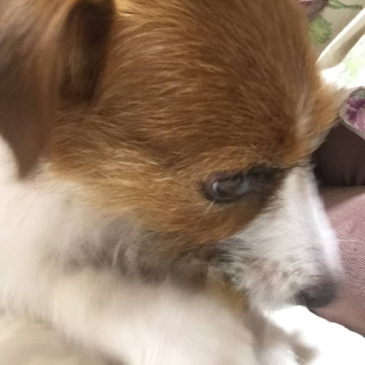 F306e089 b360 491e aa90 35bb67ba4e53