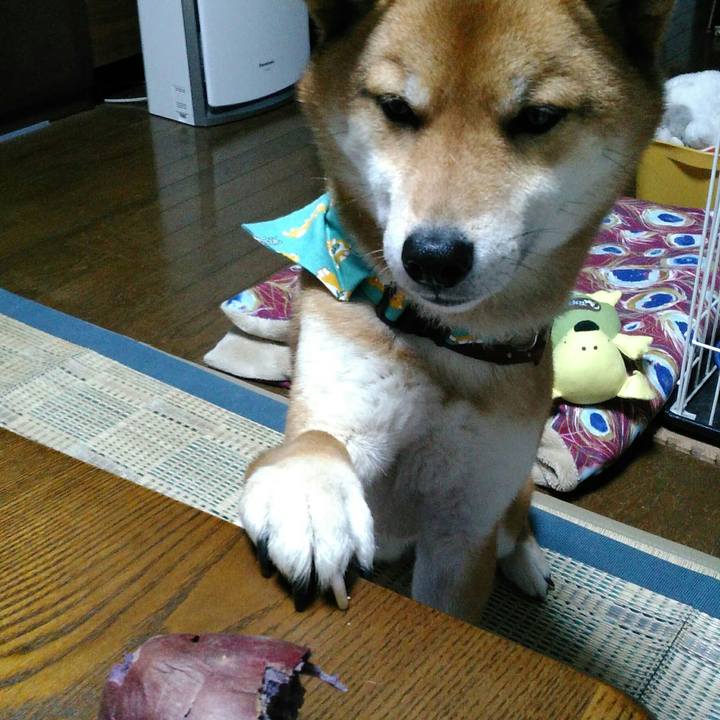 F306e116 07a2 4a88 8389 48a0348de740