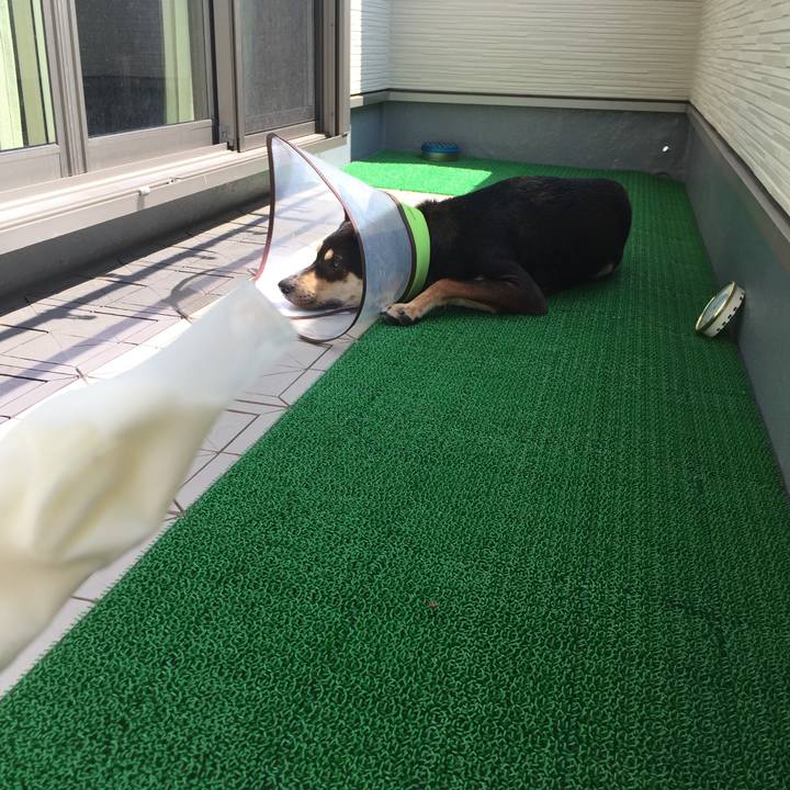 F306eca9 675f 494d 9a30 86ac6f78abfd