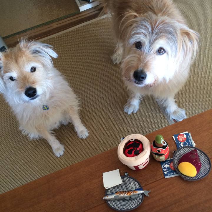 F307665a 9276 4c4a 8de6 c7cfef07350f