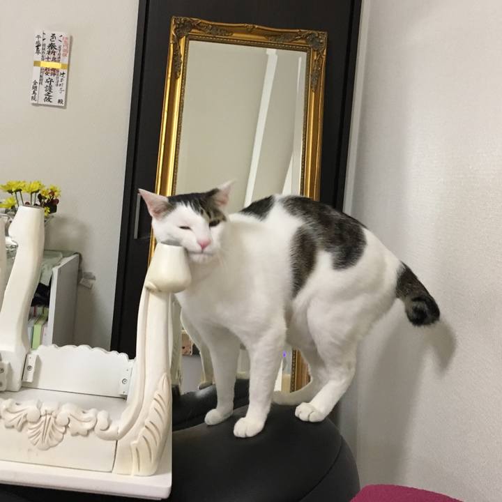 F307773b 3761 42fa b50c febb21b10fdc