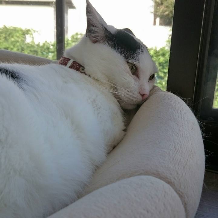 F307d5d7 3fd1 4ceb a5af d993a48ae937