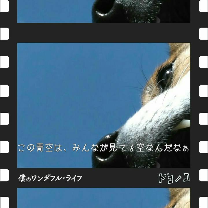 F30817f8 c37d 4039 9271 85e461943a5c