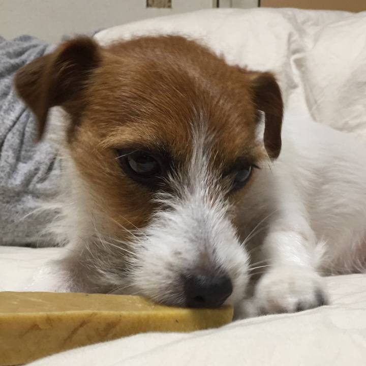 F3088e87 57e4 4c5c a922 6a397d128722