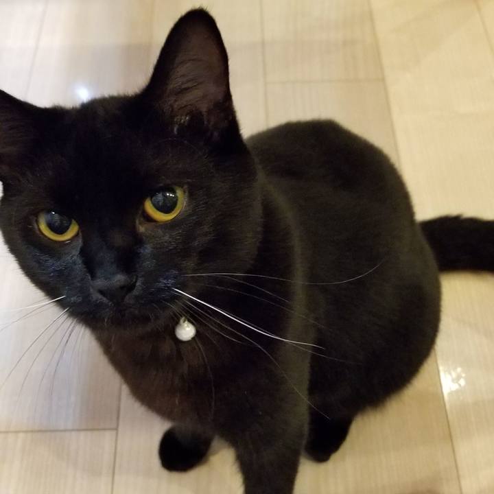 F308da81 2ab1 4e02 afc4 40cbf6dbc9c2