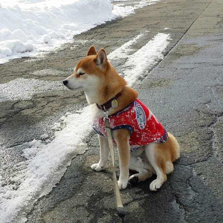 F308fbe1 34f9 4d06 bf40 2bd7e2b2812f