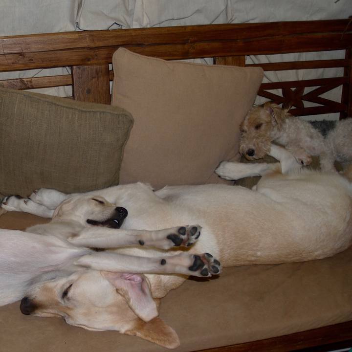 F309029d 6d6a 4ab0 b2c8 5b00724228e2