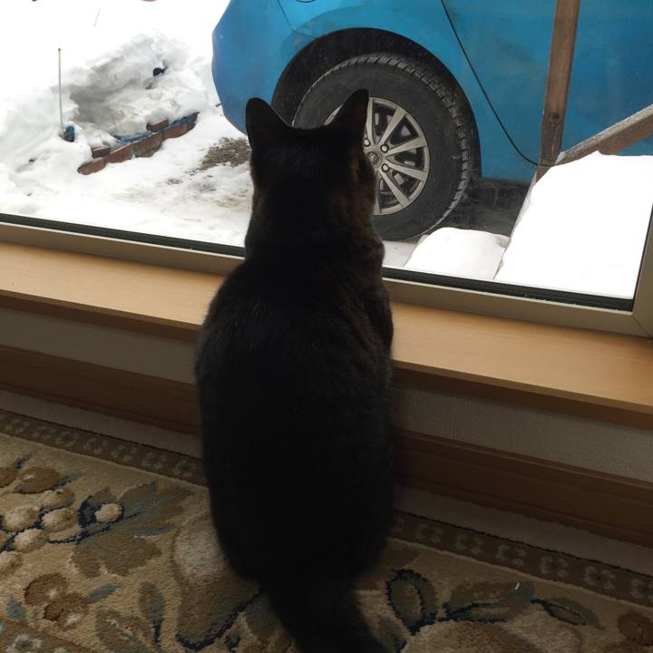 F309117e 65c8 42a8 8567 294b4278c7e0