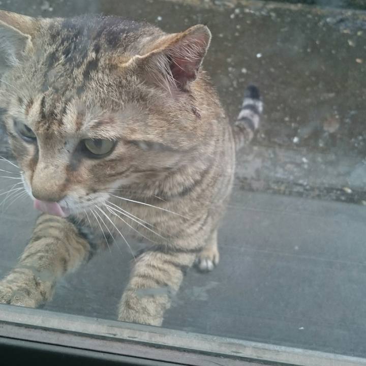 F30a864b 11c4 4461 8c5a 19d7b5e13e46