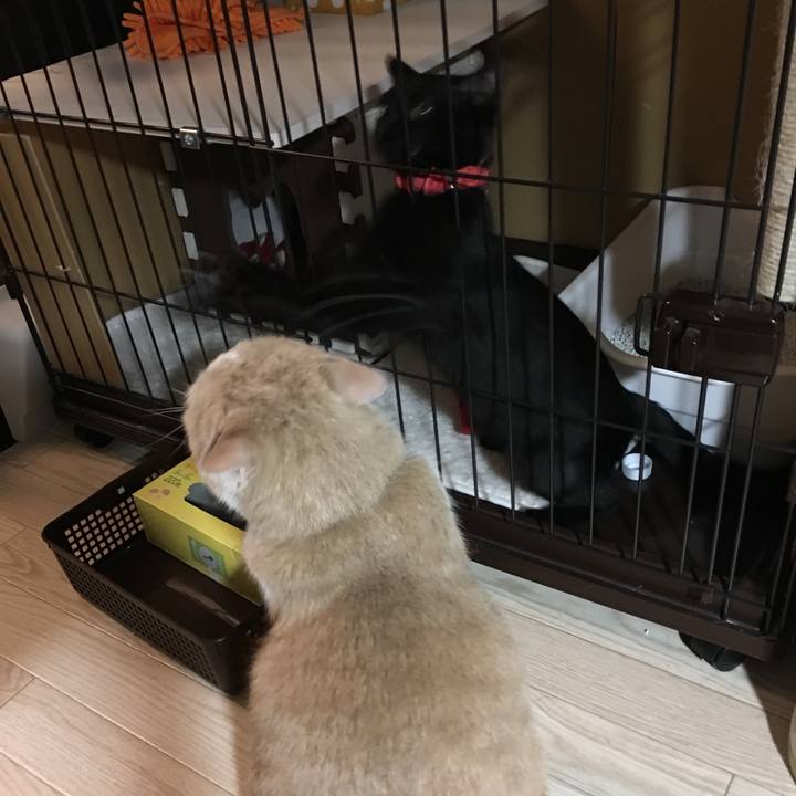 F30a8853 a629 4185 bcf8 eefff493032a