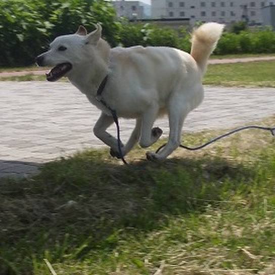 F30ac39d 1cf7 4af3 bee7 e931db9546ed