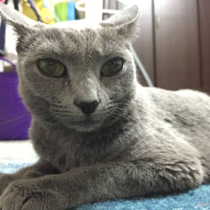 F30ad3f6 9d05 412c b528 c6cc8b4fbf0a