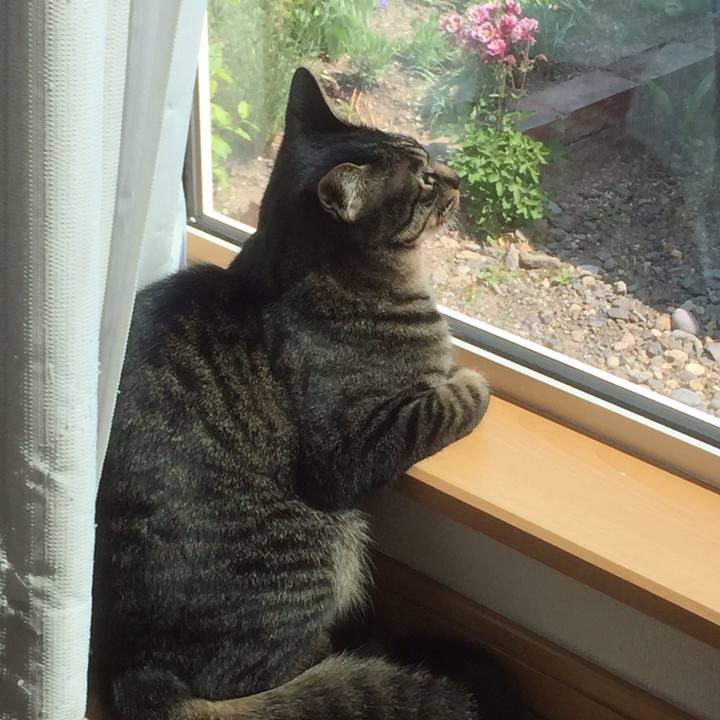 F30ad457 57b3 4869 b783 c1c2c86a44c5