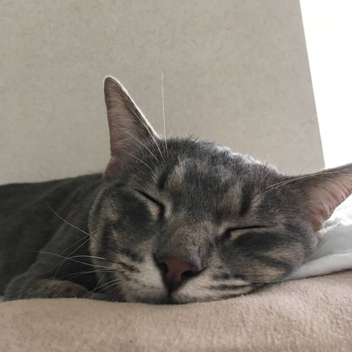 F30b047f 9b77 438a 8da1 135cdd5636a6