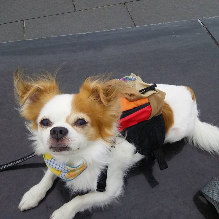 F30bedc4 d321 4009 9f1e 1b0138c9f191