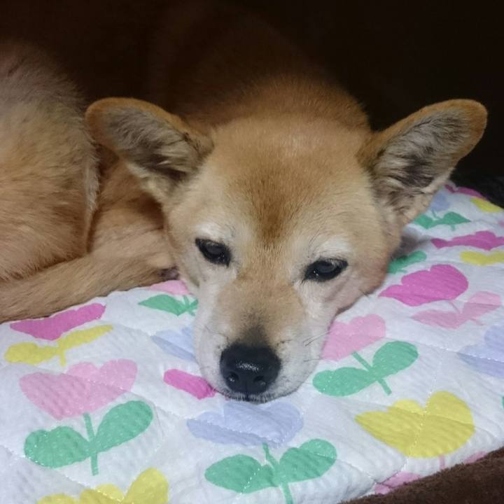 F30bf33e 5049 4e81 80ad cdc6e291bb1d