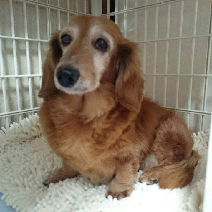 F30bfb57 0539 4d7e 8acc e660b61610dd