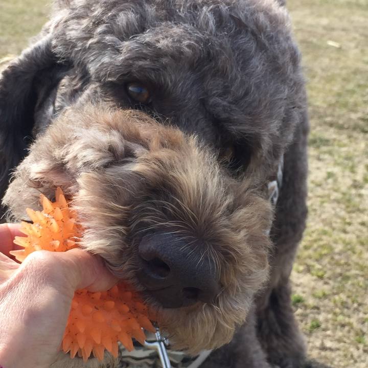 F30c2f7d 91b8 4217 a716 d3efb593eff9